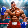 Boxing Master - Fighting Game Mod
