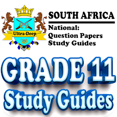 Grade 11 Study Guides Mod