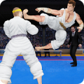 Kung Fu Lucha Rey PRO: Karate real juego de lucha Mod
