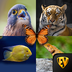 Zoology: Animal Kingdom Study Mod Apk