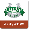 Lucky For Life Lottery Mod