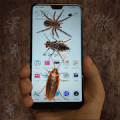 bug prank on screen APK