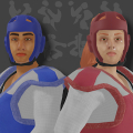 True Taekwondo APK