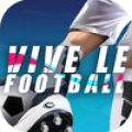 Vive le Football Mod