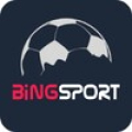 Bingsport Mod