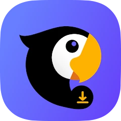 Teradownloader.com & Player Icon