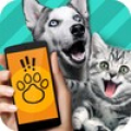 Animal Translator. Simulator APK