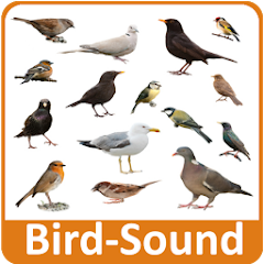 Bird Sounds Mod