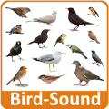 Bird Sounds APK