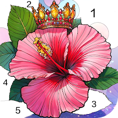 Calm Color Coloring games Mod Apk