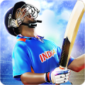 T20 Cricket Champions 3D Mod