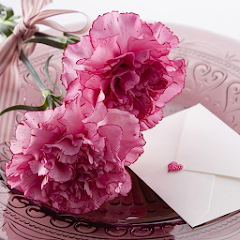 Carnation for Mum - Wallpapers Mod Apk