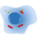 Cell Biology-101 APK