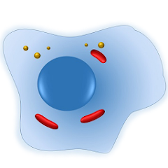 Cell Biology-101 Mod Apk