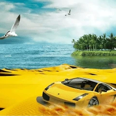 Beach Racing Icon