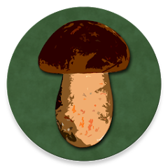 Book of Mushrooms Mod