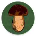 Book of Mushrooms APK