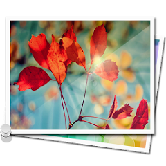 Image Gallery Mod Apk