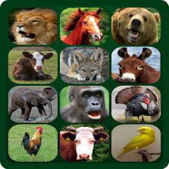 Animal Sounds Mod Apk