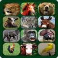 sonidos de animales APK