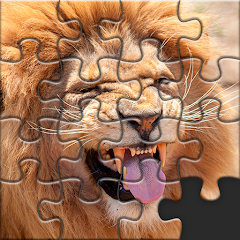 Puzzles for Adults no internet Mod Apk