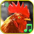 Funny Alarm Clock Ringtones APK