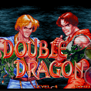 Double Fight Dragon 1995 Mod