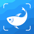 Picture Fish - Fish Identifier‏ APK