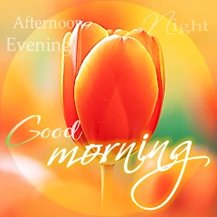 Good Morning Afternoon Night Mod Apk [Remove ads][Mod speed]