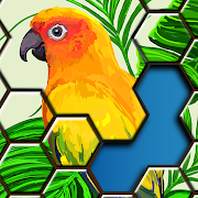 Jigsaw Puzzles Hexa Mod Apk