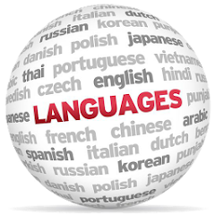 Language Enabler Mod Apk