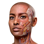 Complete Anatomy - Learn in 3D Mod Apk [Mod speed]