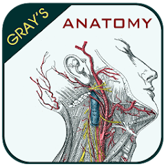 Gray's Anatomy - Anatomy Atlas Mod Apk