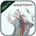 Gray's Anatomy - Anatomy Atlas Mod