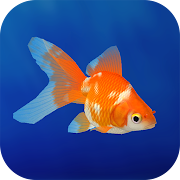 Goldfish 3D Relaxing Aquarium Mod