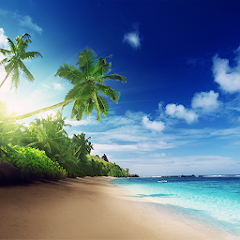 Beach Live Wallpaper Mod Apk