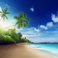 Beach Live Wallpaper APK