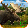 Moose Hunting Calls APK