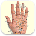 Acupressure - Self Healing TCM APK