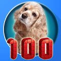 100 Animal sounds & pictures APK