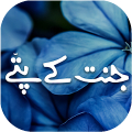 Jannat k Pattay by Nimra Ahmad APK