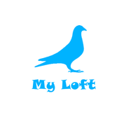 My Loft Mod apk última versión descarga gratuita