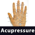 Learn Acupressure Points APK