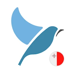 Learn Maltese. Speak Maltese. Mod Apk [Reklamları kaldır][Mod hızı]