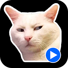 Cat Meme Animated Stickers Mod