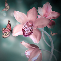 Orchid Wallpapers Mod