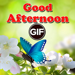 Good Afternoon Gif Mod Apk