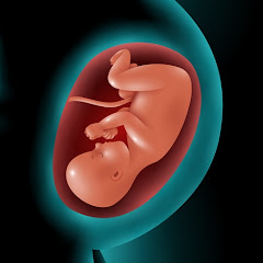 Astha Pregnancy - week by week Mod Apk