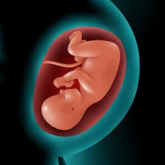 Astha Pregnancy Mod Apk [Remove ads][Mod speed]