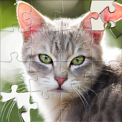 HD Jigsaw Puzzles Sorting Game Mod